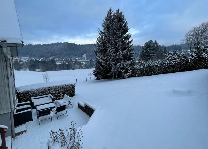 Chalet Le Cedre Bleu 10 P - 10 Min De Gerardmer