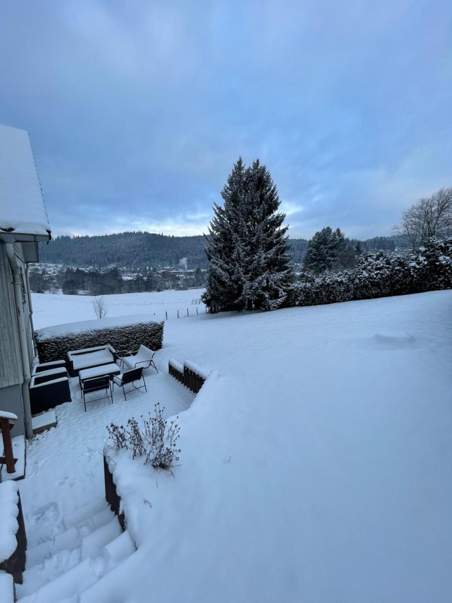 Chalé Le Cedre Bleu 10 P - 10 Min De Gerardmer