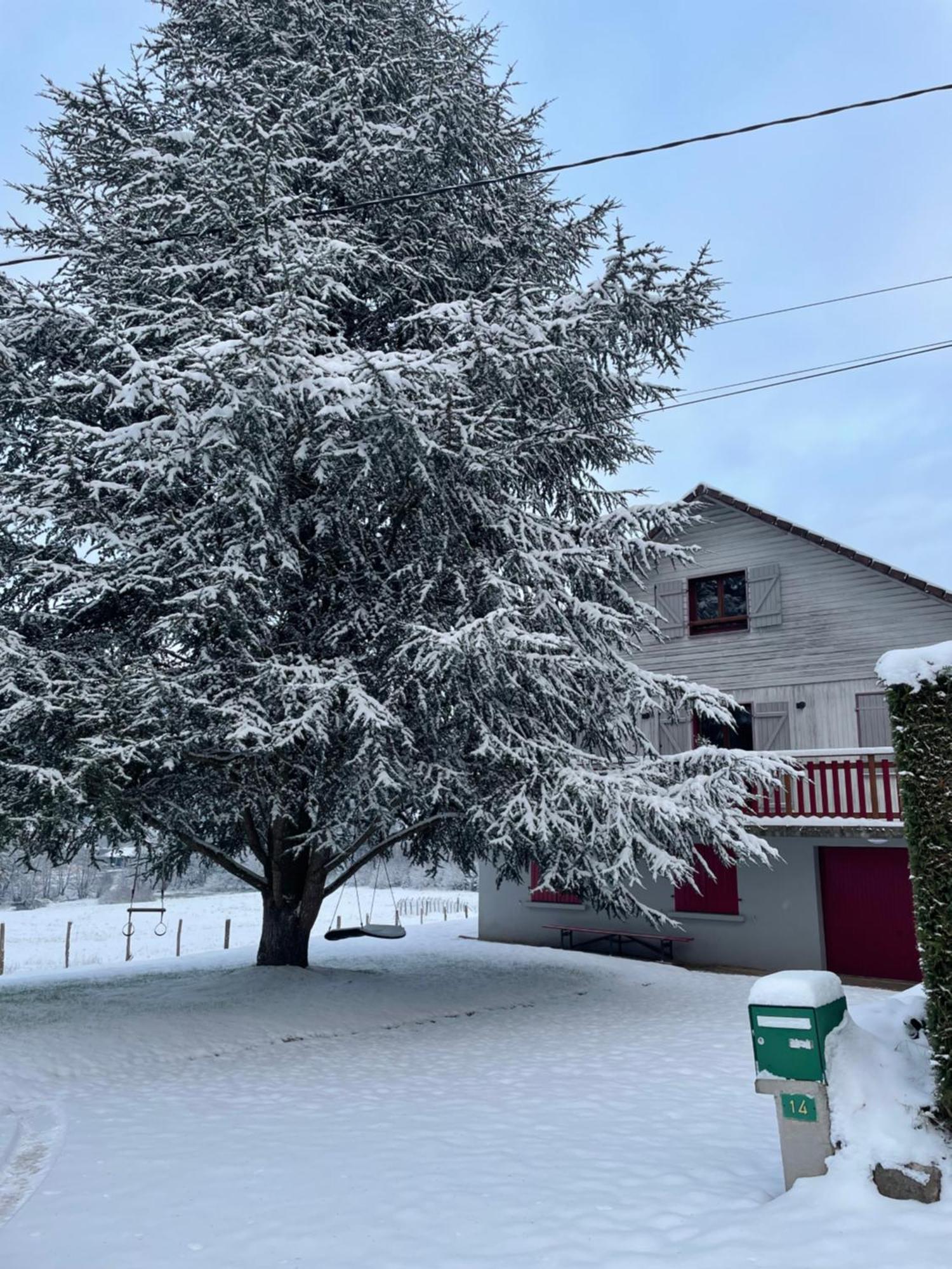 Le Cedre Bleu 10 P - 10 Min De Gerardmer