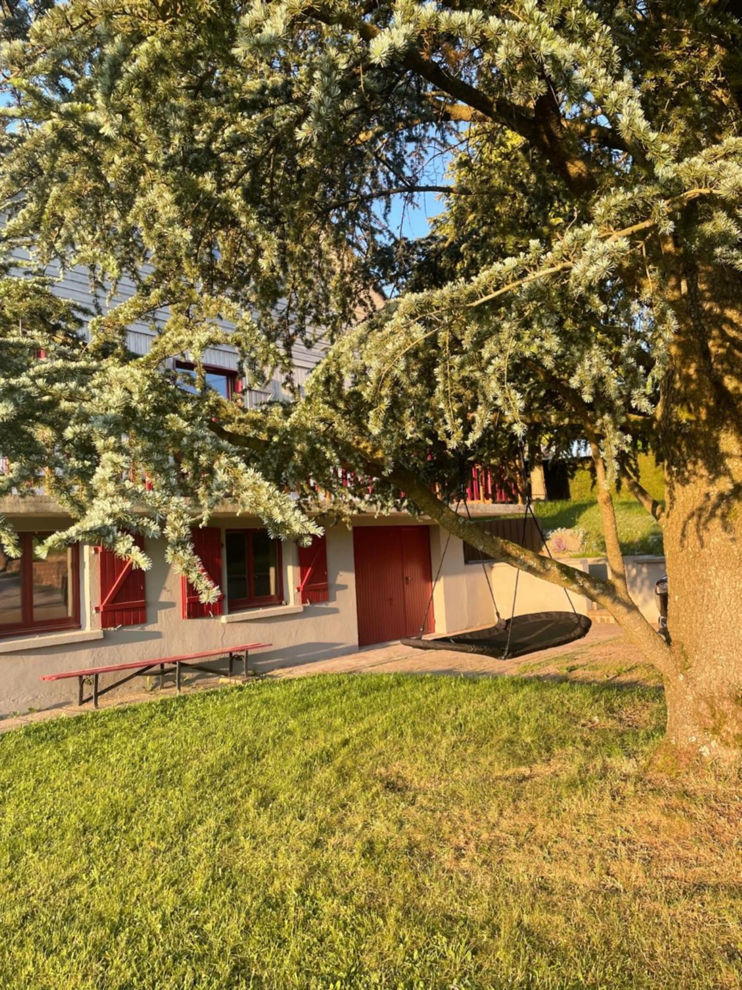 Chalet Le Cedre Bleu 10 P - 10 Min De Gerardmer